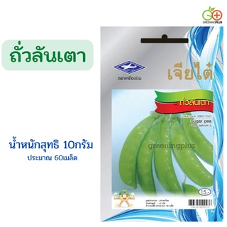 เมล็ดถั่วลันเตาSugar pea เจียใต๋