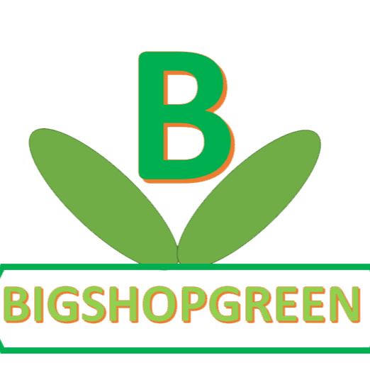 Bigmoneyshop2022 store logo