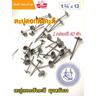 ตะปู ตะปูตอกสังกะสี ตะปูหัวร่ม ตราหัววัวพระอาทิตย์ ขนาด 1¾"×13 (1กล่อง มี 40ตัว)