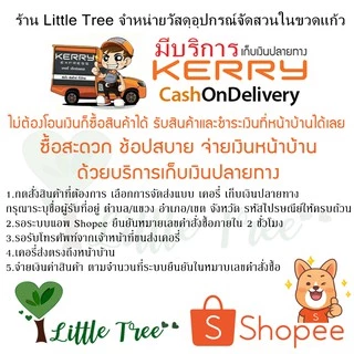 สวนขวด DIY ชุดจัดสวน ไซต์ S เบสิค ราคา 189 บาท มีสินค้าพร้อมส่ง
