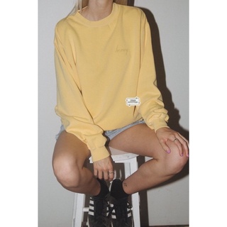 preorder brandy melville erica honey embroidery sweatshirt