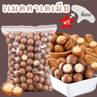 🌰พร้อมส่ง (Macadamia)🌰 แมคคาเดเมีย 500 กรัม พร้อมทาน (ฟรีที่แกะ) แมคคาเดเมียอบ แมคคาเดเมียอบธรรมชาติ ถั่วแมคคาเดเมีย ขนม