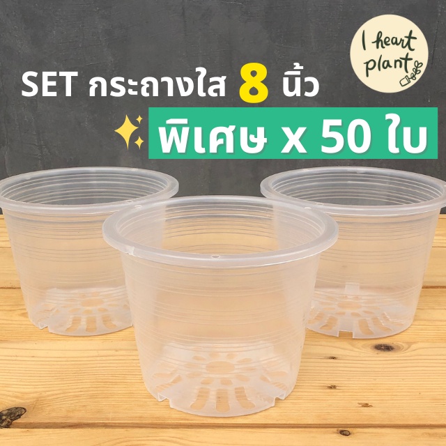 🌱 SET กระถางใส 8 นิ้ว x 50 ใบ | ทรงกลม ชำราก ส่องราก ใส่ไม้ใบ ไม้มงคล ไม้ประดับ สลัด กระถางใส | Tran