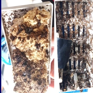 Termite Bio Bait ชุดแบบเติมเหยื่อเชื้อรากำจัดปลวก Set B อาหารปลวก กำจัดปลวกตายยกรัง