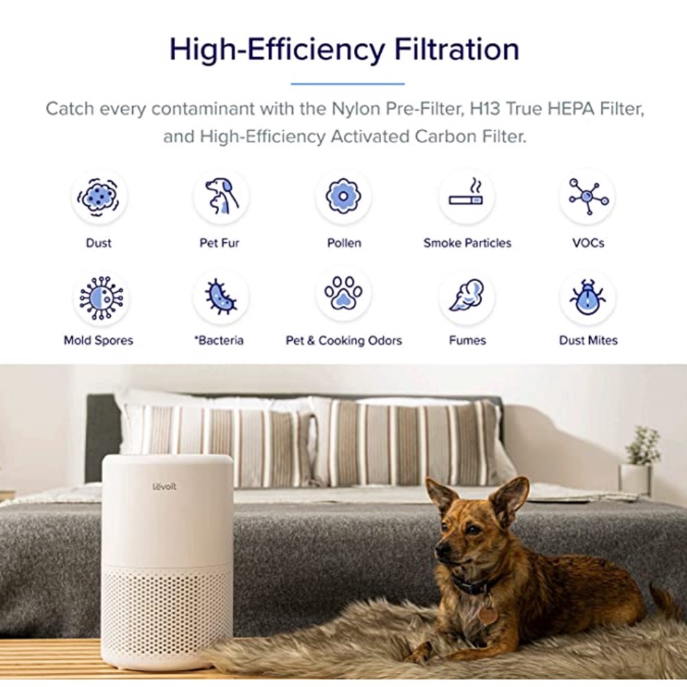 Levoit true hepa on sale air purifier