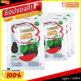 🔥เกรดโรงแรม!! เอ็ม16 เมล็ดแตงโมอบ M16 ขนาด 40/50กรัม/ซอง ยกแพ็ค 6ซอง ถั่วและธัญพืช ขนม อาหารและเครื่องดื่ม