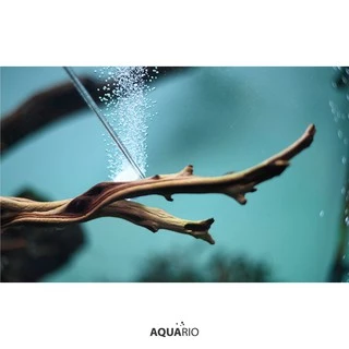 Aquario Neo Air Diffuser หัวกระจายอากาศ ให้เม็ดฟองละเอียดกว่าหัวทรายปกติ