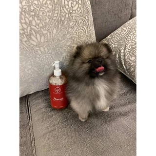 BubbleBear Shampoo แชมพูสุนัข และ แมว สูตร Hawaii Special Edition จากบับเบิ้ลแบร์ แชมพูทำจากออแกนนิค