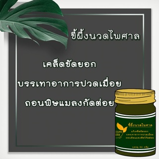 ขี้ผึ้งนวดไพศาล 50 กรัม บรรเทาอาการปวดเมื่อย แมลงกัดต่อย