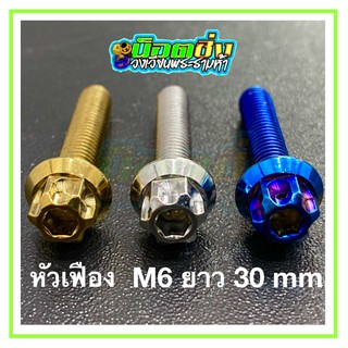 น็อตสแตนเลส หัวเฟือง ขนาดเกลียว m6 ยาว 30 mm.