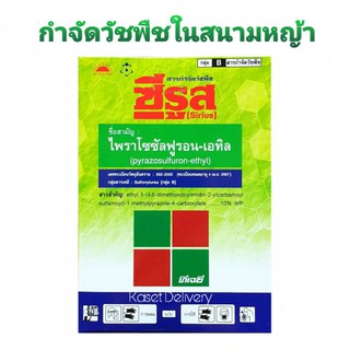 💥ซีรูส💥 กําจัดวัชพืชในสนามหญ้า กำจัดหญ้าแห้วหมู ผักปอดนา หนวดปลาดุก กก ยาฆ่าหญ้า แห้วหมู ในสนามหญ้านวลน้อย อัลมิกช์