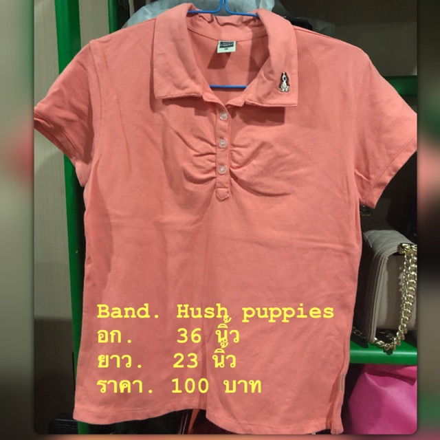 เสื้อโปโลมือสอง แบรนด์แท้ ?? ยี่ห้อดัง ให้ลูก Hush Puppies