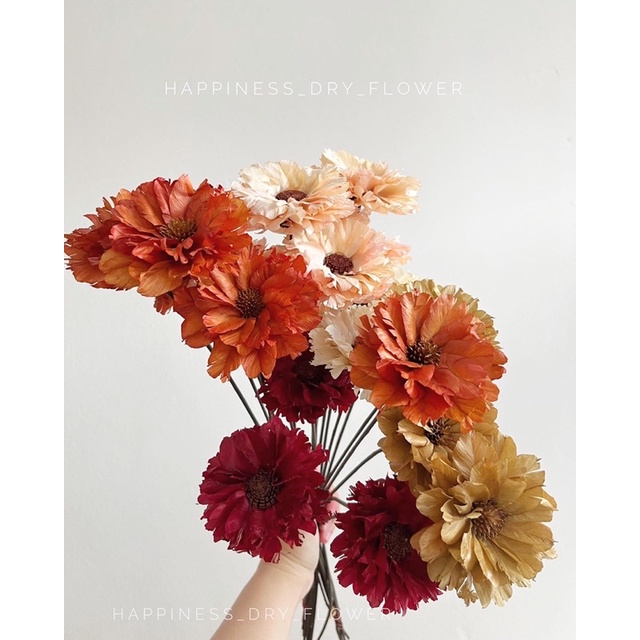 พร้อมส่ง!! Zinnia หรือดอกบานชื่น ดอกไม้แห้งจากธรรมชาติ (ดอกไม้แห้งราคาก้านละ)