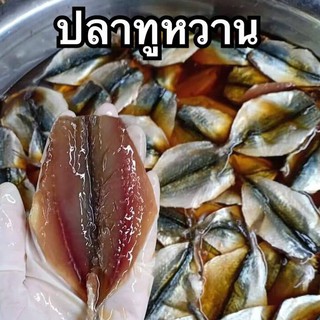 ปลาทูหวาน ปลาทูสด ปลาทู