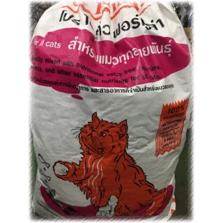 🐈🐈🐈เอ.โปร.ไอคิว.ฟอร์มูล่า 💥💥💥อาหารแมวทุกสายพันธุ์🐈🐈🐈