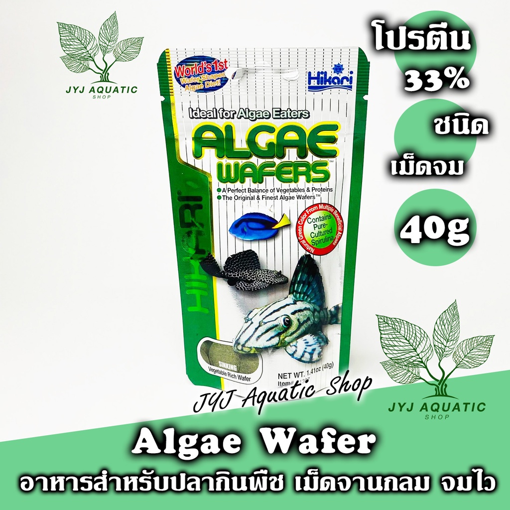 อาหารปลาซัคเกอร์ Hikari Algae Wafer อาหารปลา ชนิดจมสำหรับปลากินพืช กินตะไคร่น้ำ ขนาด 40กรัม