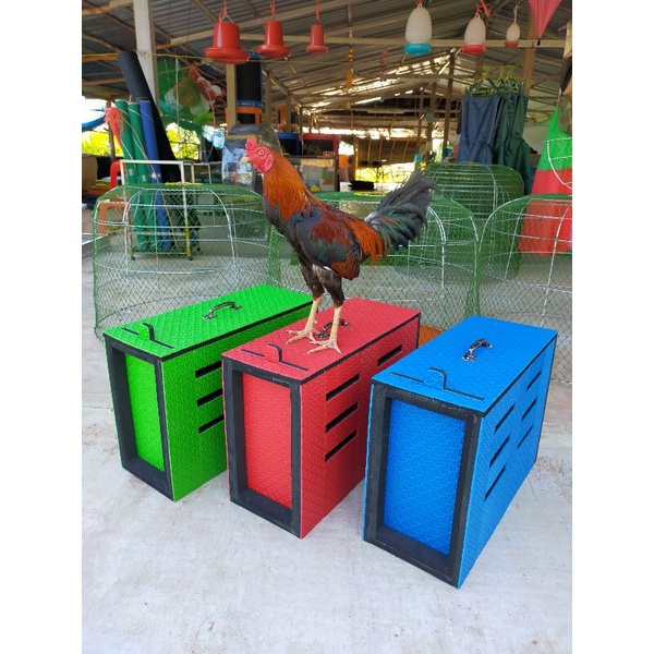 กล่องไส่ไก่ชนเงินล้าน