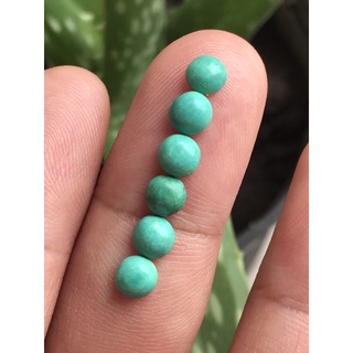 &lt;จัดส่งฟรี&gt; Turquoise เทอร์คอยส์ ดิบ สีเขียวน้ำทะเล 2.65 ct/6pcs