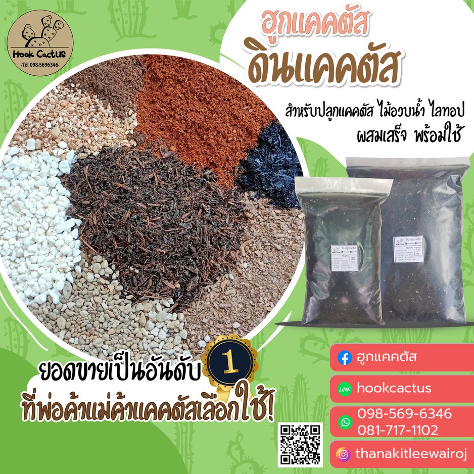 ดินแคคตัส สูตรพรีเมี่ยม ผสมเสร็จพร้อมใช้ โดย ฮูกแคคตัส