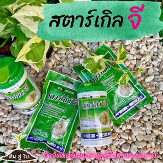 สตาร์เกิลจี (Starkle G) สารกำจัดแมลงชนิดดูดซึมเข้าทางระบบราก สตาร์เกิล จี ใช้ได้กับไม้ดอก ไม้ใบ ไม้กระถาง ไม้ด่าง กล้วย