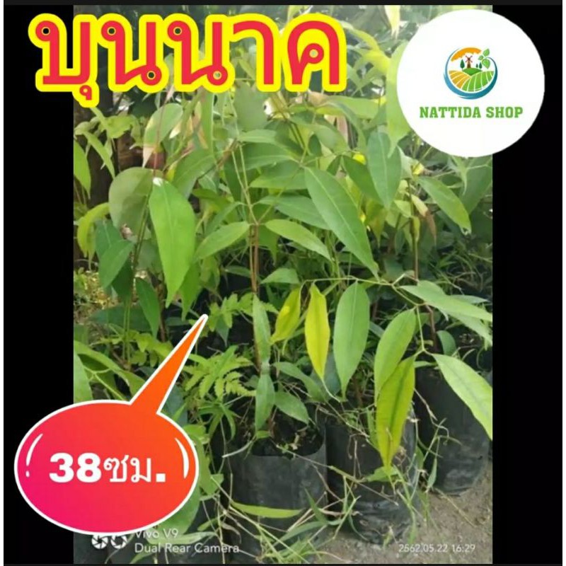 My Image 27
