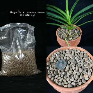 pumice stone หินภูเขาไฟ เบอร์01 (1กก)สำหรับปลูกกล้วยไม้ ไม้ประดับ