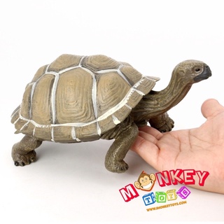 Monkey Toys - โมเดลสัตว์ เต่ายักษ์กาลาปาโกส เขียว ขนาด 21.00 CM (จากหาดใหญ่)