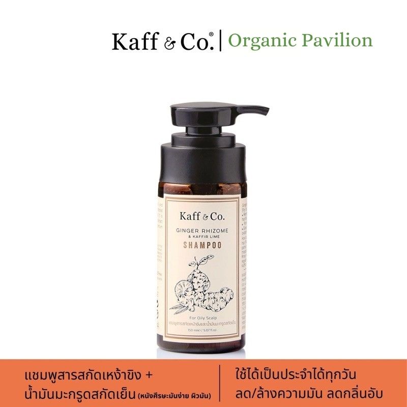 Kaff & Co Ginger Rhizome & Kaffir Lime Shampoo แชมพูสารสกัดเหง้าขิงและน้ำมันมะกรูดสกัดเย็น สำหรับหนังศีรษะมันมาก (150ml)