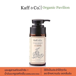 Kaff &amp; Co Ginger Rhizome &amp; Kaffir Lime Shampoo แชมพูสารสกัดเหง้าขิงและน้ำมันมะกรูดสกัดเย็น สำหรับหนังศีรษะมันมาก (150ml)