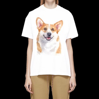 เสื้อลายหมา DWC003 welsh corgi เสื้อยืด เสื้อยืดลายหมา เสื้อยืดสกรีนลายหมา