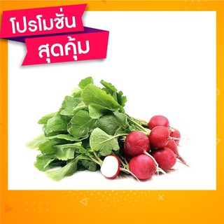 🇹🇭โปร2แถม1 เมล็ดพันธุ์เรดิชเชอรี่ แดง🍠🍠