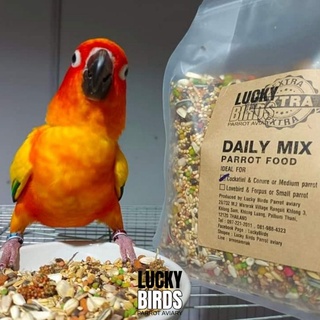 อาหารนกแก้ว Luckybirds Daily mix สูตร Extra