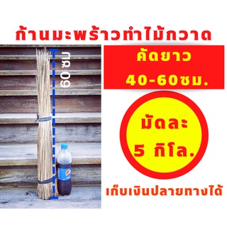 ก้านทางมะพร้าวทำไม้กวาด ยาว 40ซม ถึง 60ซม 5 กิโลกรัม ก้านเหลาใหม่ ไม่ผุ ไม่ชื้น ไม่ขึ้นรา เก็บเงินปลายทางได้