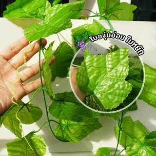 เถาวัลย์ใบไม้ประดิษฐ์ ใบบัวบก ใบองุ่น ใบเลื้อย ยาว 220cm เถาวัลย์ใบไม้ พวงเถาวัลย์ประดิษฐ์
