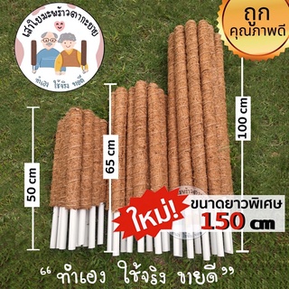 เสาไม้เลื้อยสูง 150 เซติเมตร/เสาไม้เลื้อย/เสาหลักใยมะพร้าว/เสาต้นไม้ราคาถูก/เสาต้นไม้ /เสาหลักต้นไม้/ เสาหลักต้นไม้สูง