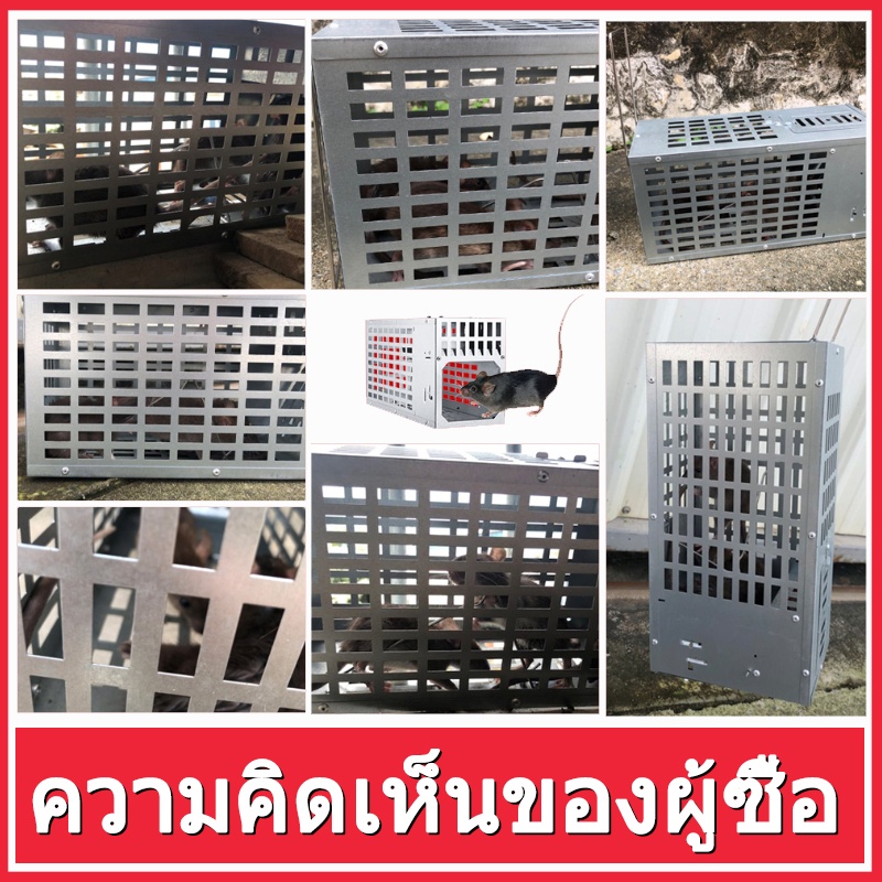 +✅【ถูกสุดๆ】KUAIBU กรงดักหนู ที่ดักหนู กับดักหนู โรงงานราคาส่งโรงงานราคาถูกรับประกันของแท้ - รูปที่ 5
