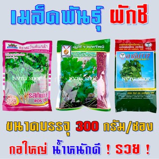 เมล็ดพันธุ์ผักชี ห่อละ 300 กรัม ปลาวาฬ รสทิพย์ ไร่ทิพย์ รวยทรัพย์ อาธีน่า 17 ตะวันต้นกล้า เมล็ดผักชี ผักชี เม็ดผักชี