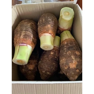 เผือกหอมสด❗️1Kg.❗️ชั่งรวมกล่อง เผือกบก เนื้อฟู หัวใหญ่ สดใหม่ ราคาถูกที่สุด พร้อมส่ง🔥‼️(มีเก็บเงินปลายทางด้วยน่ะ)