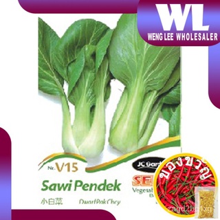 WHOLESALE V15 DWARF PAK CHOY JC GARDEN VEGETABLE SEED BIJI BENIH SAWI PANDEK กะหล่ำปลีเมล็ดทานตะวัน/มะละกอ/​​กระโปรง/ดอก