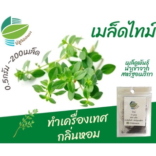 ขายดี สวนครัว/เมล็ดไทม์ 200 เมล็ด (Thyme)​ #herb #สมุนไพร/เมล็ด เมล็ดพันธุ์ ต้น PPVQ