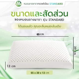 VERZA LATEX *ซื้อ 1 แถม 1* หมอนยางพาราแท้100% รุ่น Standard Big XL เกรดพรีเมี่ยม พร้อมปลอกขอบทอง