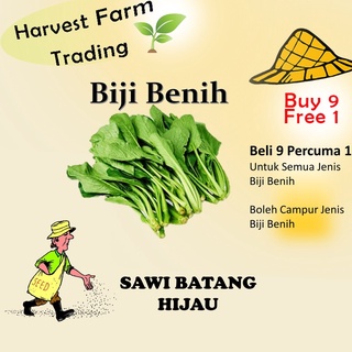 Biji Benih Sawi Batang Hijau 400 Biji Vegetable Seed Spinach菜心种子  Family Seeds Plant Seed