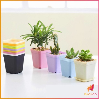 BUAKAO กระถางต้นไม้พลาสติก พร้อมถาดรอง กระถางขนาดเล็ก  Plastic flowerpot