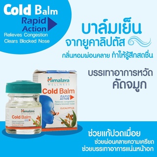 วิคแก้หวัด Himalaya Cold Balm แก้หวัด, คัดจมูก ของแท้ หิมาลายา ขนาด 10 กรัม ขวดแก้ว