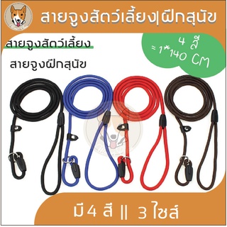 สายจูง สัตว์เลี้ยง สายฝึกสุนัข สายรัด สายจูงคล้องคอ หมา สุนัข Pet สายจูงยาว สายจูงหนา พันธุ์เล็ก พันธุ์กลาง ใหญ่ M025