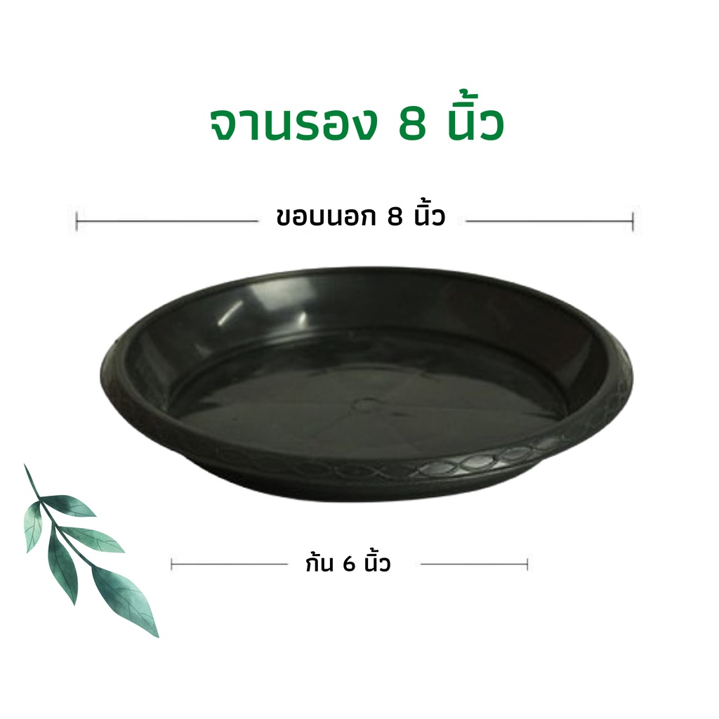 จานรองกระถางต้นไม้ ถาดรองกระถางต้นไม้ จานรองกระถางพลาสติก สีดำ 8 นิ้ว (8 นิ้ว)