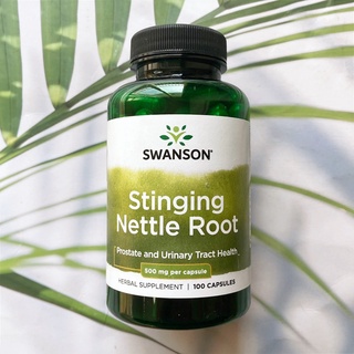 (Swanson®) Stinging Nettle Root 500 mg 100 Capsules สารสกัดจากรากตำแย สุขภาพ ต่อมลูกหมาก ทางเดินปัสสาวะ ทางเดินหายใจ