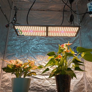 Hlg V4 240W Samsung lm301H LG 395nm+Epistar 660nm+Osram 660nm (3000K) Full Spectrum UV+IR Led Grow Light