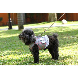 Pet clothes -Doggydolly ชุดเสื้อสายจูง ชุดรัดอก  เสื้อผ้าแฟชั่น เสื้อผ้าสัตว์เลี้ยง เสื้อผ้าหมาแมว ชุดจูง   DCL115