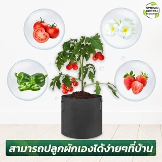 กระถางผ้าปลูกต้นไม้ รุ่น GB ถุงผ้าปลูกต้นไม้ ถุงปลูกต้นไม้ ของแท้จาก SGE